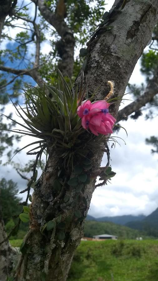 Hostel E Pousada Vale Mirante Da Rocha Timbe do Sul Bagian luar foto